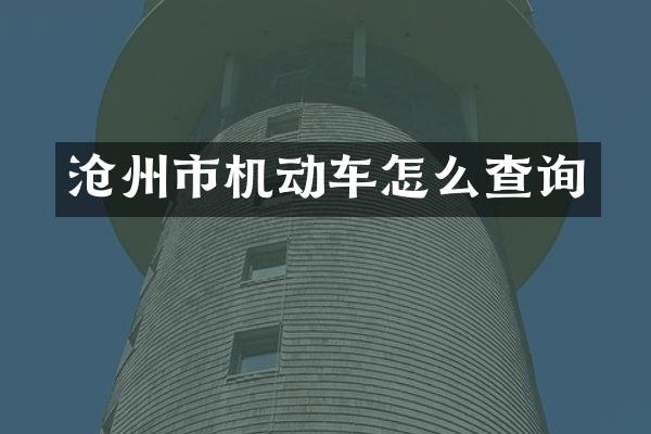 沧州市机动车怎么查询