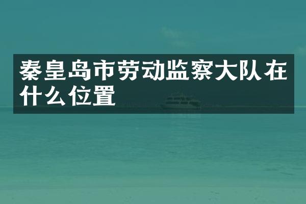 秦皇岛市劳动监察大队在什么位置