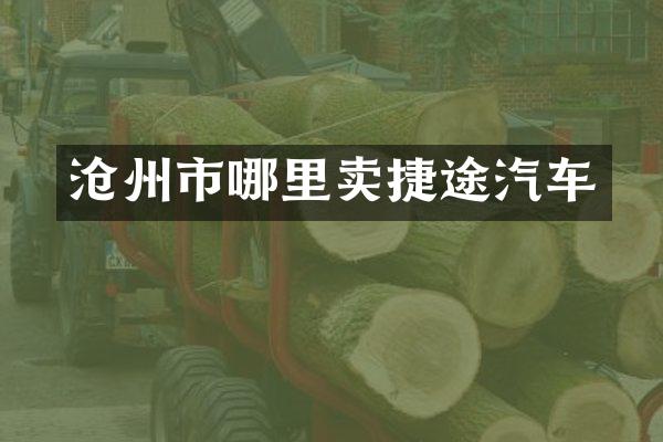 沧州市哪里卖捷途汽车