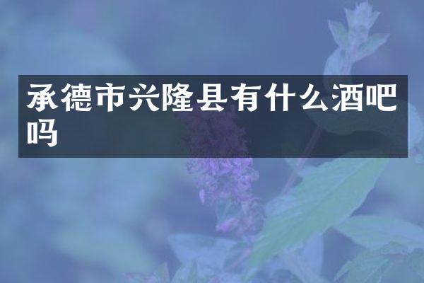 承德市兴隆县有什么酒吧吗
