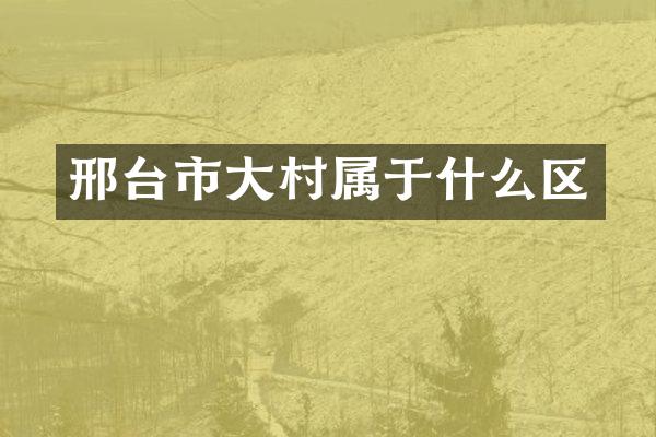 邢台市大村属于什么区