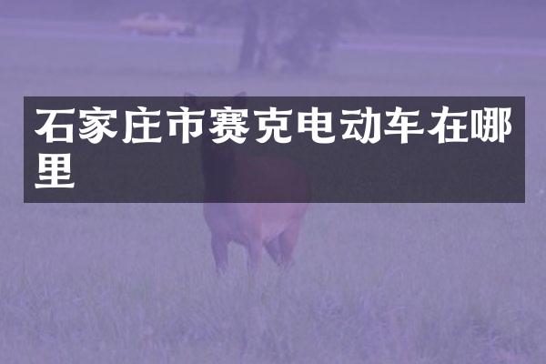 石家庄市赛克电动车在哪里