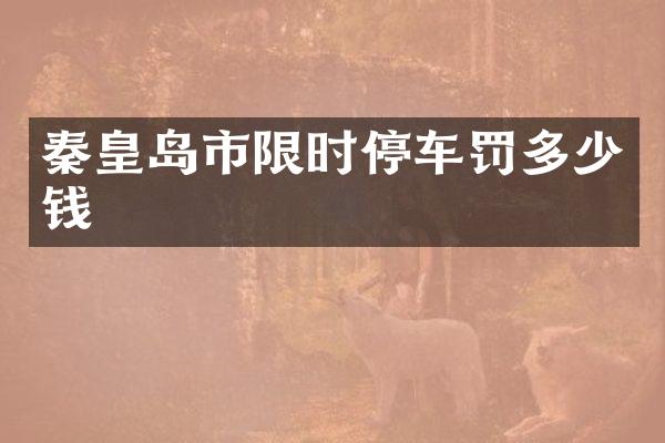 秦皇岛市限时停车罚多少钱