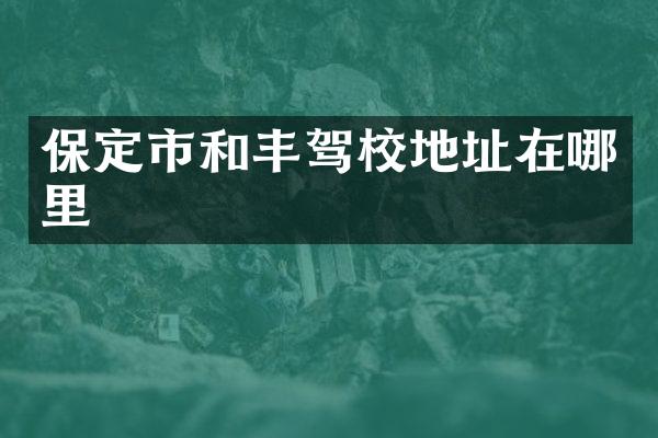 保定市和丰驾校地址在哪里