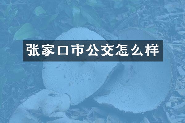 张家口市公交怎么样
