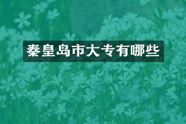 秦皇岛市大专有哪些
