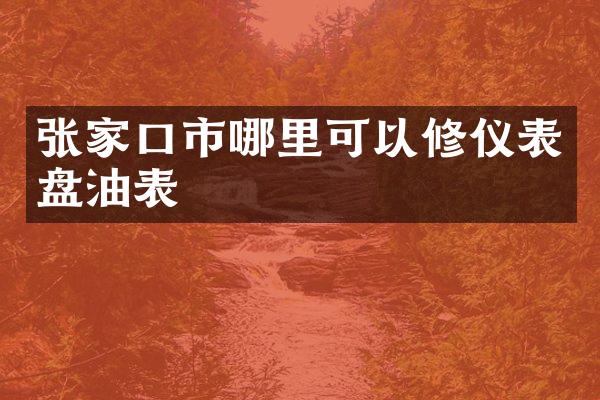 张家口市哪里可以修仪表盘油表