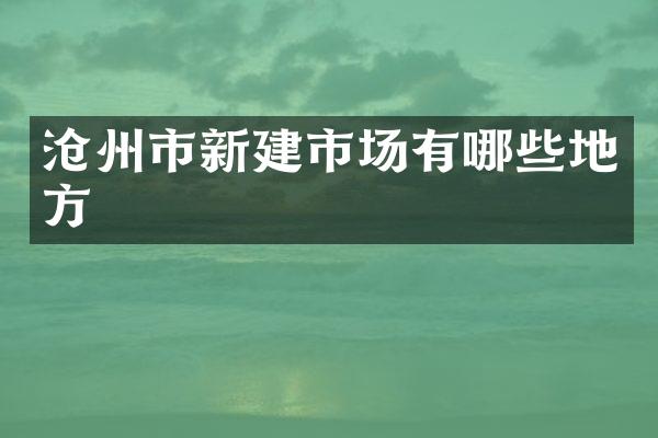 沧州市新建市场有哪些地方