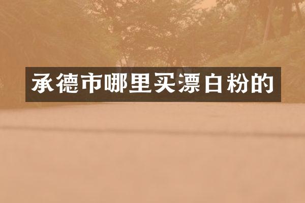 承德市哪里买漂白粉的