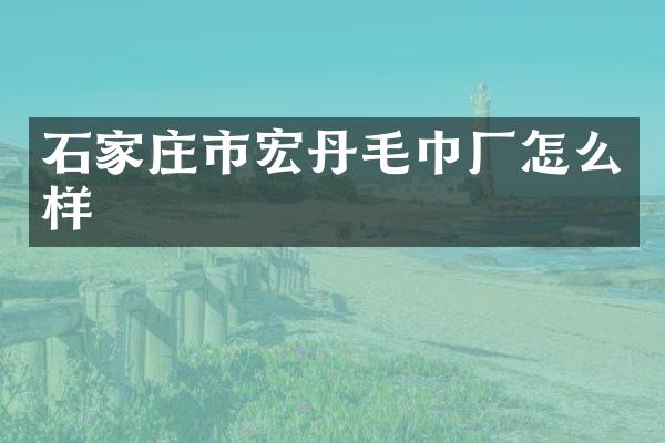 石家庄市宏丹毛巾厂怎么样