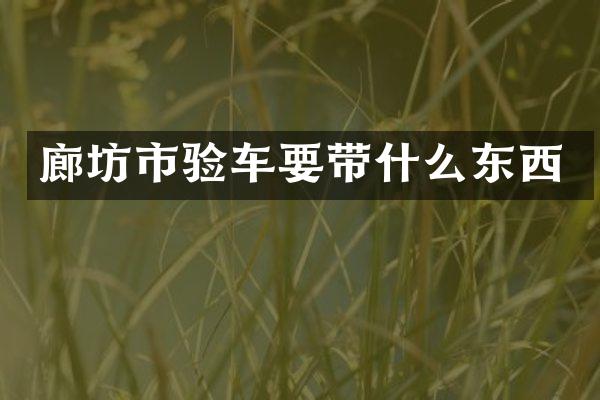 廊坊市验车要带什么东西