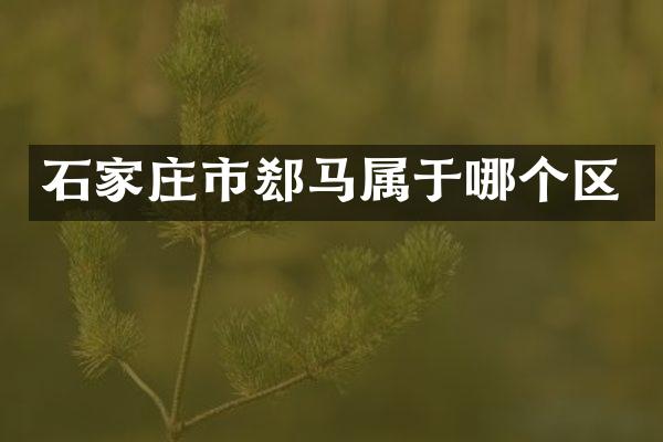 石家庄市郄马属于哪个区