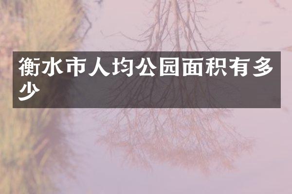 衡水市人均公园面积有多少