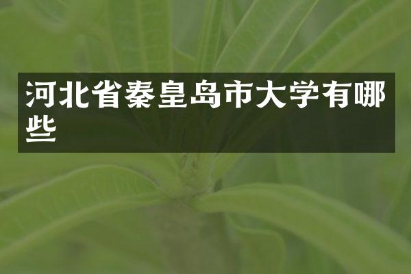 河北省秦皇岛市大学有哪些