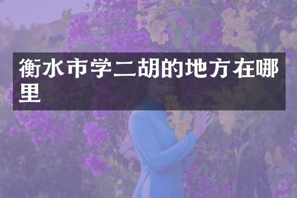 衡水市学二胡的地方在哪里
