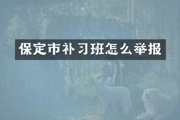 保定市补习班怎么举报