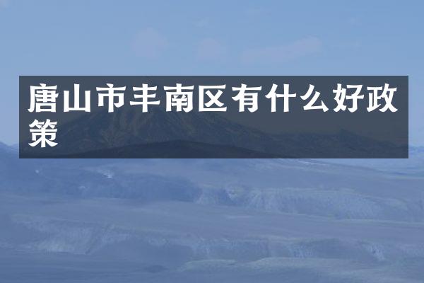 唐山市丰南区有什么好政策