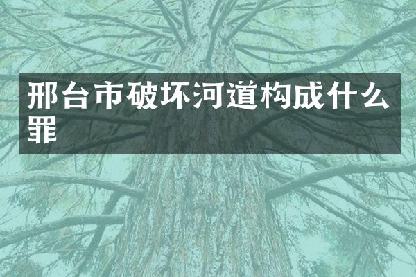 邢台市破坏河道构成什么罪