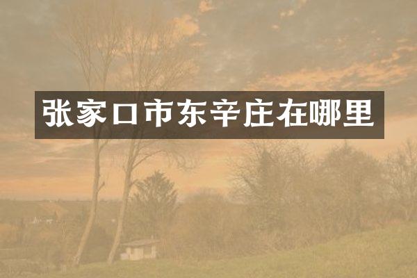 张家口市东辛庄在哪里