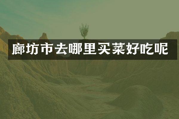 廊坊市去哪里买菜好吃呢