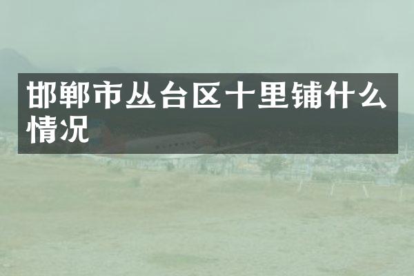 邯郸市丛台区十里铺什么情况