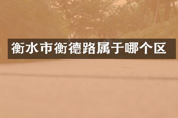 衡水市衡德路属于哪个区