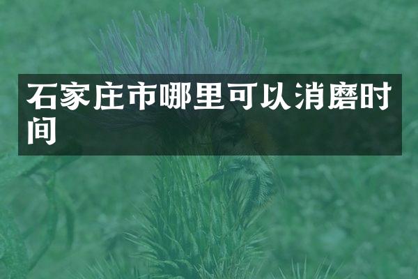 石家庄市哪里可以消磨时间