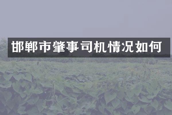 邯郸市肇事司机情况如何