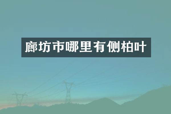 廊坊市哪里有侧柏叶