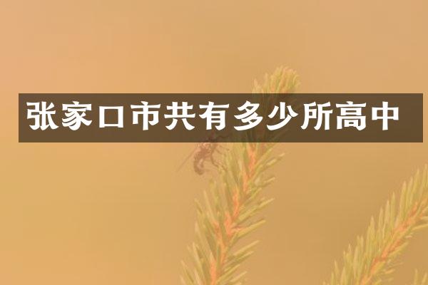 张家口市共有多少所高中