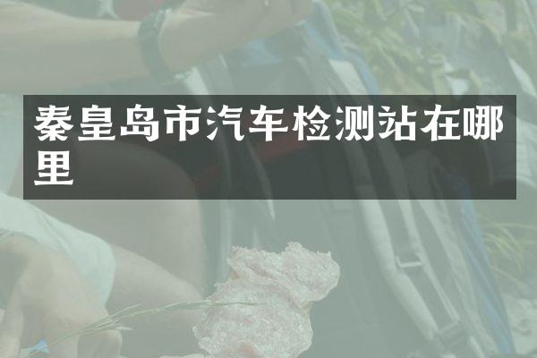 秦皇岛市汽车检测站在哪里