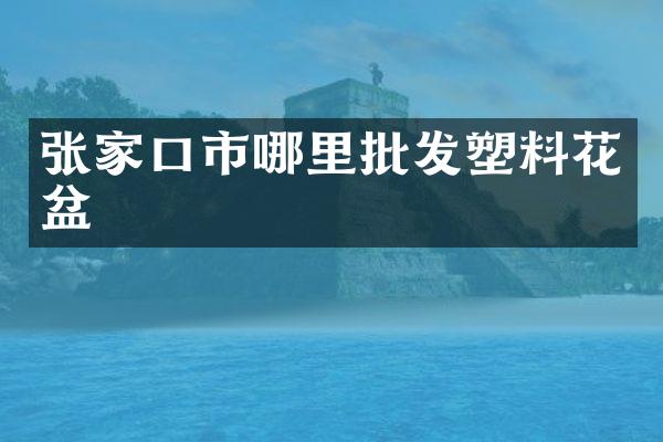 张家口市哪里批发塑料花盆