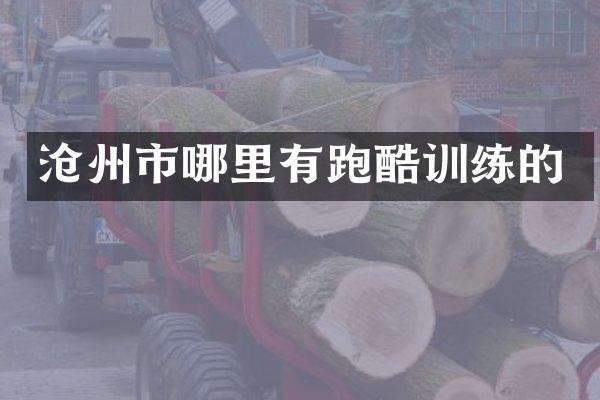沧州市哪里有跑酷训练的