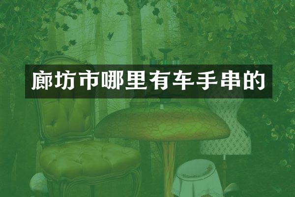 廊坊市哪里有车手串的