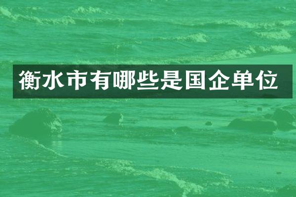 衡水市有哪些是国企单位