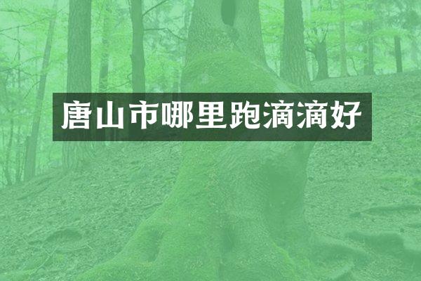 唐山市哪里跑滴滴好