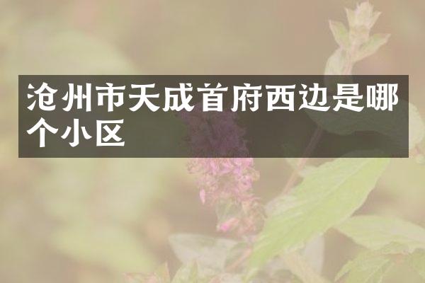 沧州市天成首府西边是哪个小区