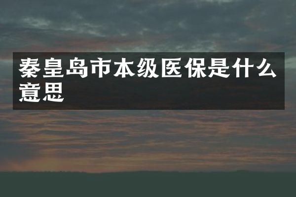 秦皇岛市本级医保是什么意思
