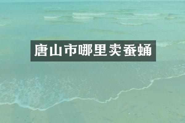 唐山市哪里卖蚕蛹