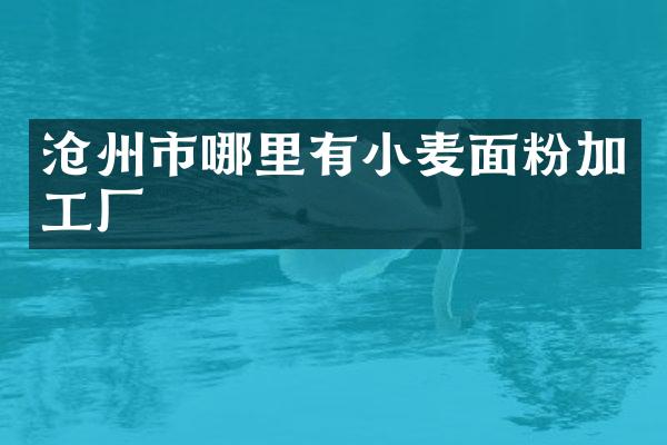 沧州市哪里有小麦面粉加工厂