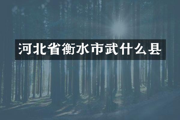河北省衡水市武什么县