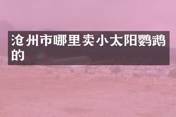 沧州市哪里卖小太阳鹦鹉的