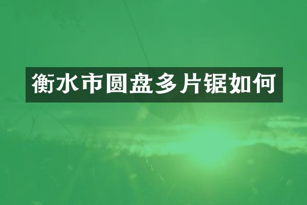 衡水市圆盘多片锯如何