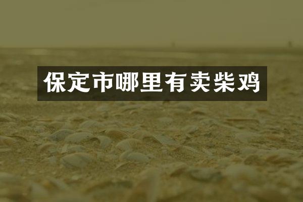 保定市哪里有卖柴鸡