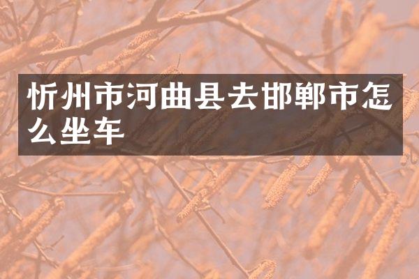 忻州市河曲县去邯郸市怎么坐车