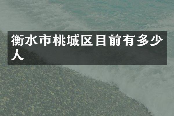 衡水市桃城区目前有多少人
