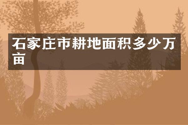 石家庄市耕地面积多少万亩