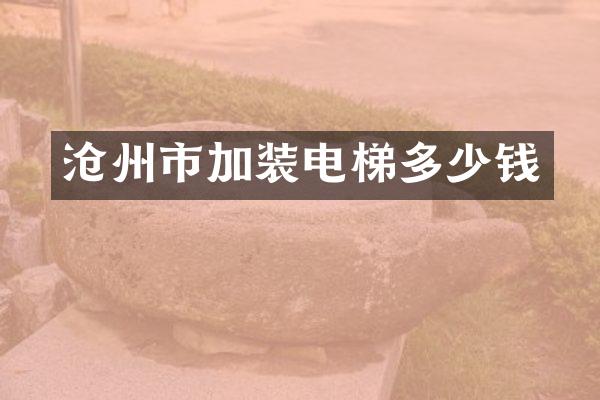 沧州市加装电梯多少钱