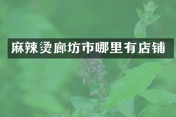 麻辣烫廊坊市哪里有店铺