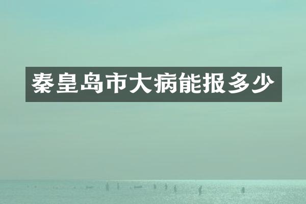秦皇岛市大病能报多少